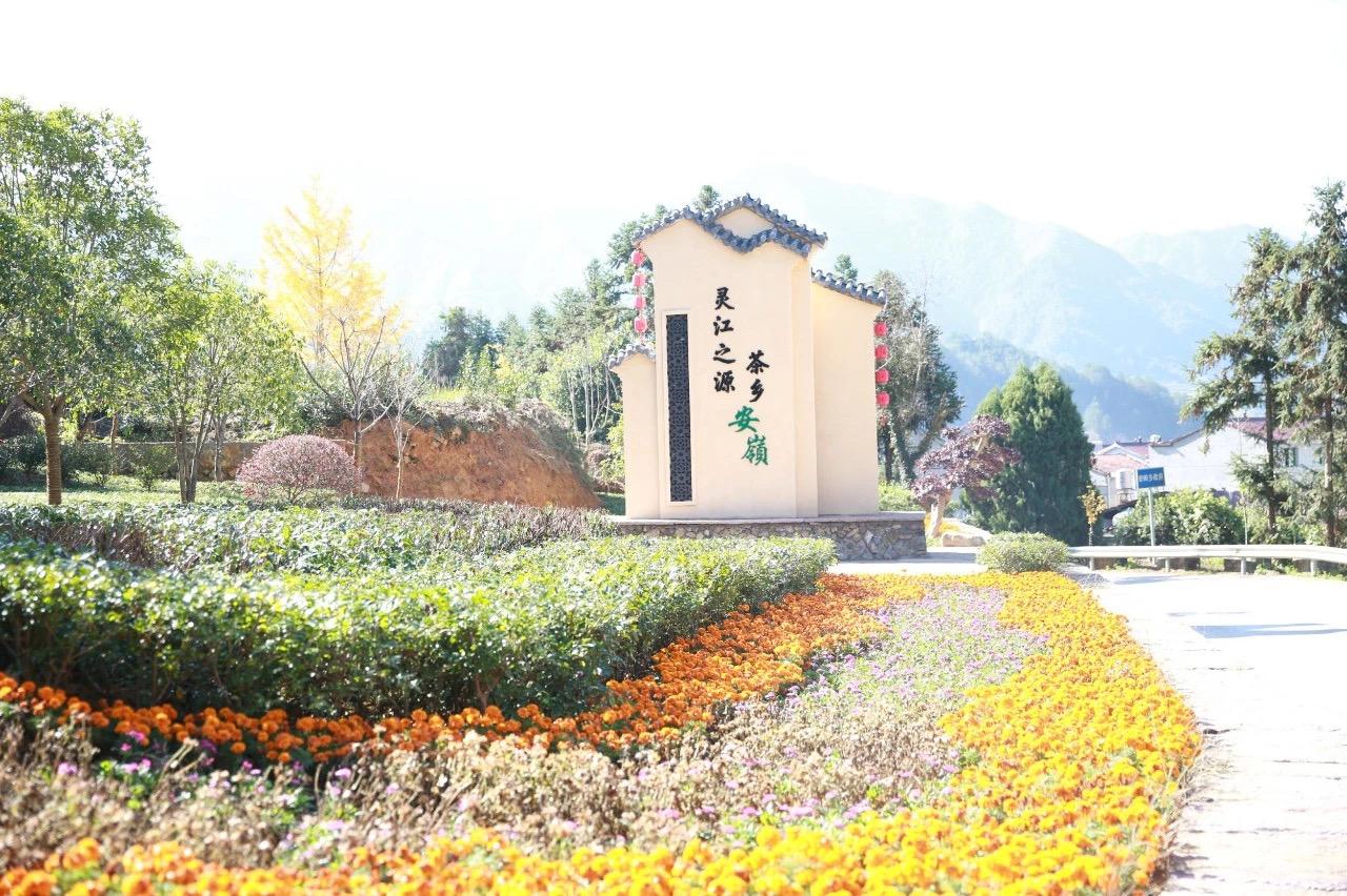 大同山林場(chǎng)最新交通新聞及其影響分析，大同山林場(chǎng)交通新聞更新及其影響分析